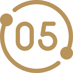 number 5 1
